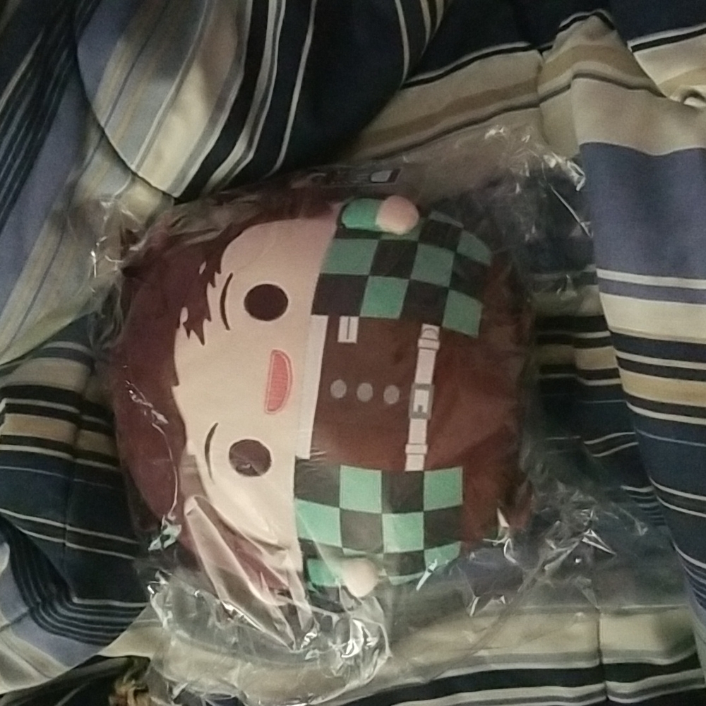 Demon Slayer Tanjiro plush